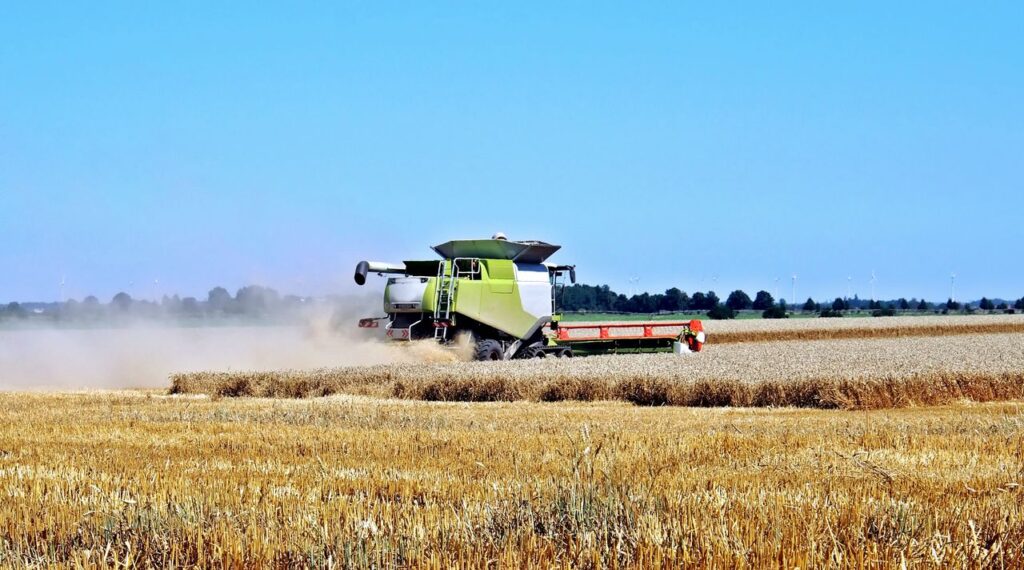Combine harvester in action during wheat harvest on a sunny day in the countryside.