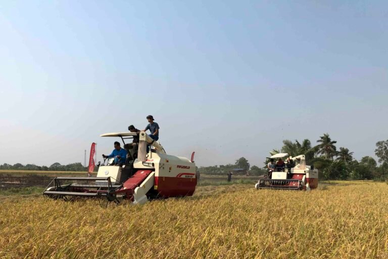 Home 3 FMWORLD Ruilong Plus 4LZ-6.0P 110HP combine harvester in the field